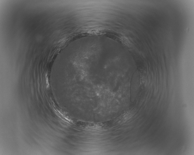 X0000052921106200507151543