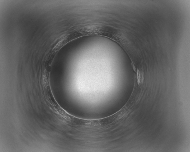 X0000052921107200507151543