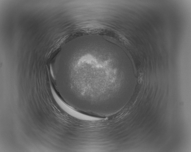 X0000052921108200507151543