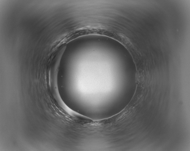 X0000052921110200507151543