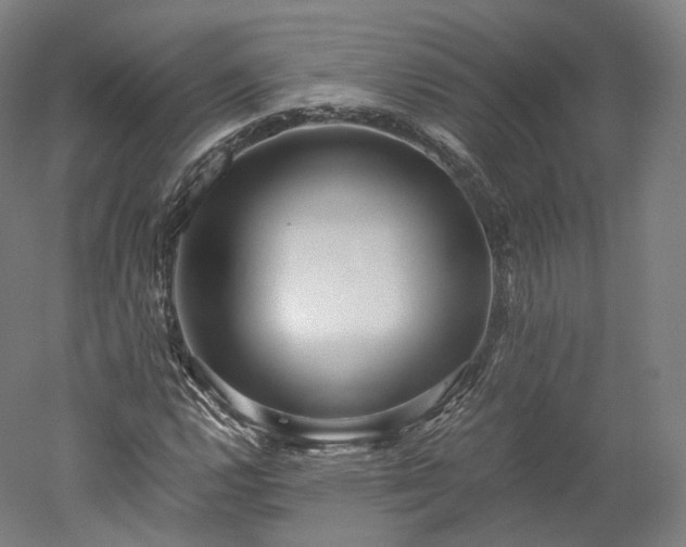 X0000052921112200507151543