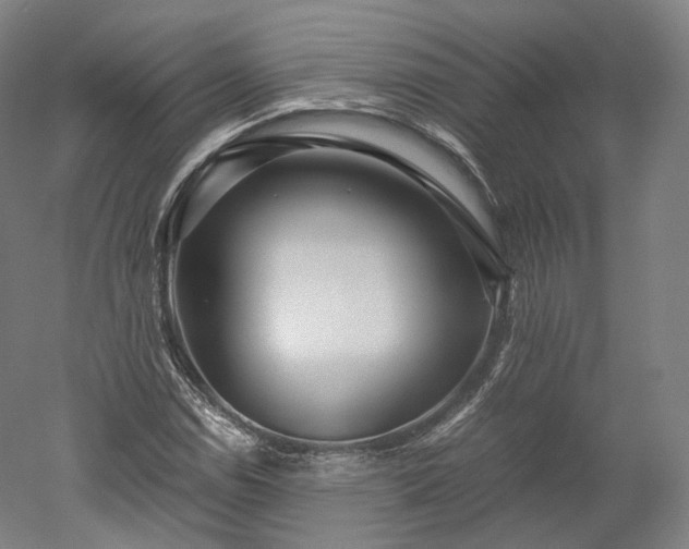X0000052921114200507151543