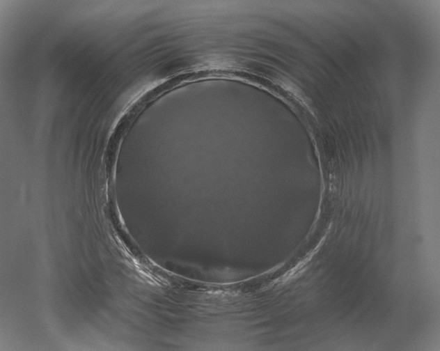 X0000052921117200507151543