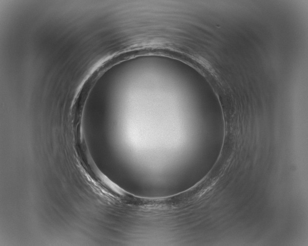 X0000052921118200507151543