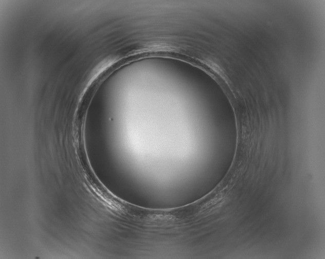 X0000052921119200507151543