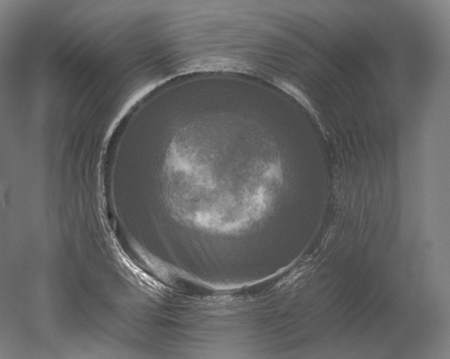 X0000052921120200507151543