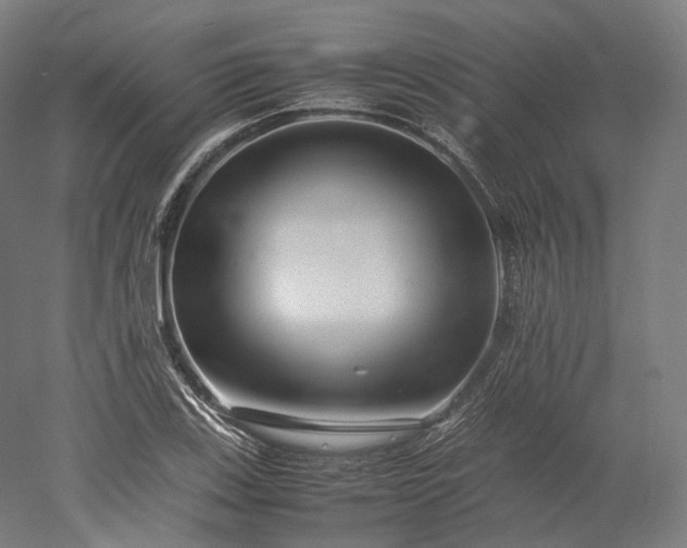 X0000052921123200507151543