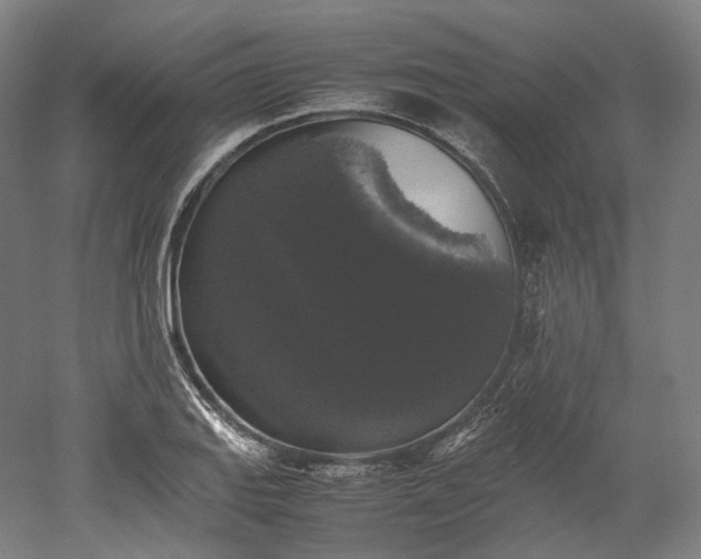 X0000052921127200507151543