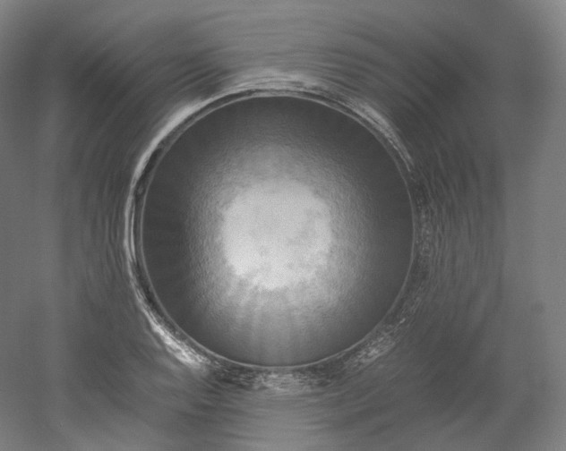 X0000052921128200507151543