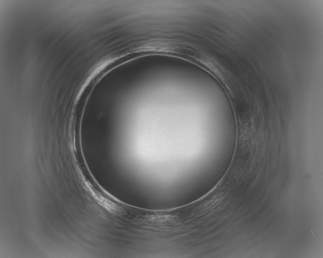 X0000052921131200507151543