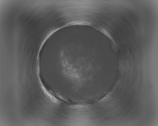 X0000052921132200507151543