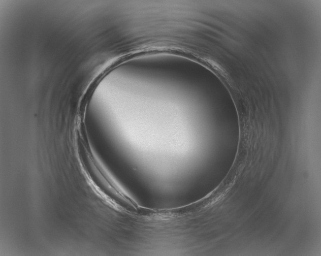 X0000052921134200507151543