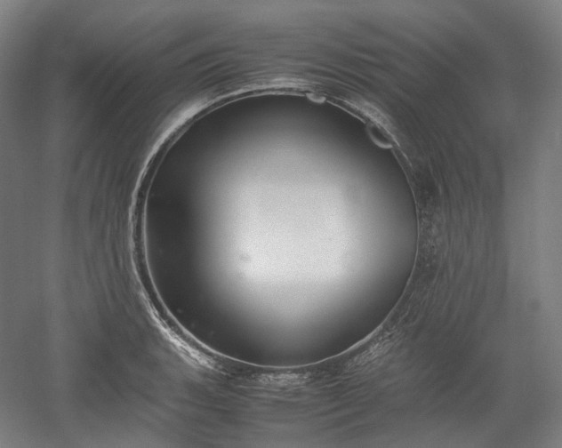 X0000052921135200507151543