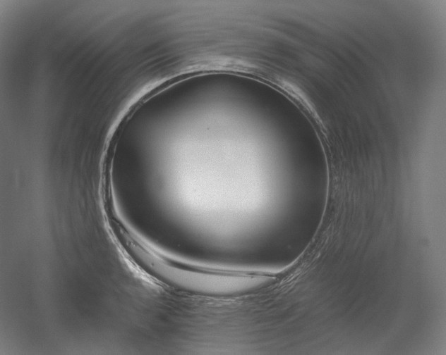 X0000052921136200507151543