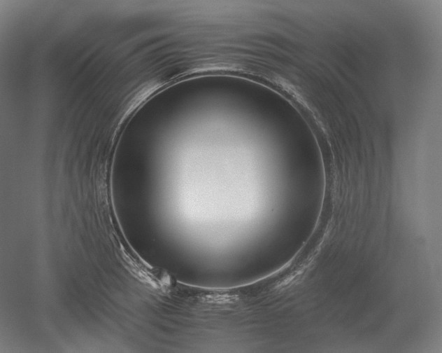 X0000052921137200507151543