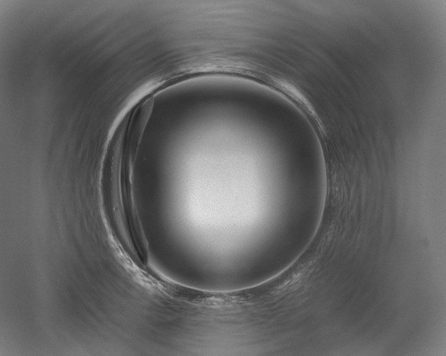 X0000052921138200507151544