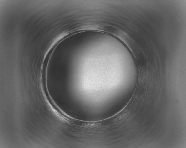 X0000052921139200507151544