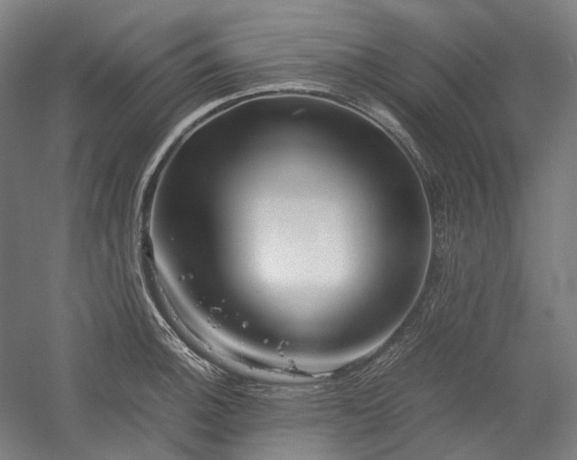 X0000052921140200507151544