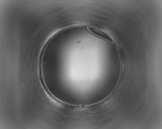 X0000052921143200507151544
