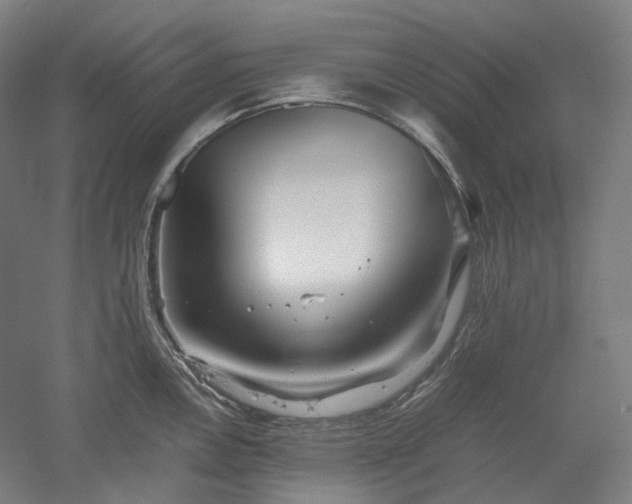 X0000052921146200507151544