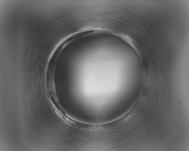 X0000052921148200507151544