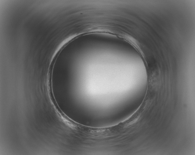 X0000052921149200507151544