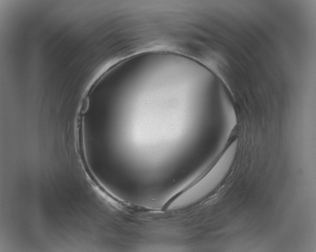 X0000052921151200507151544