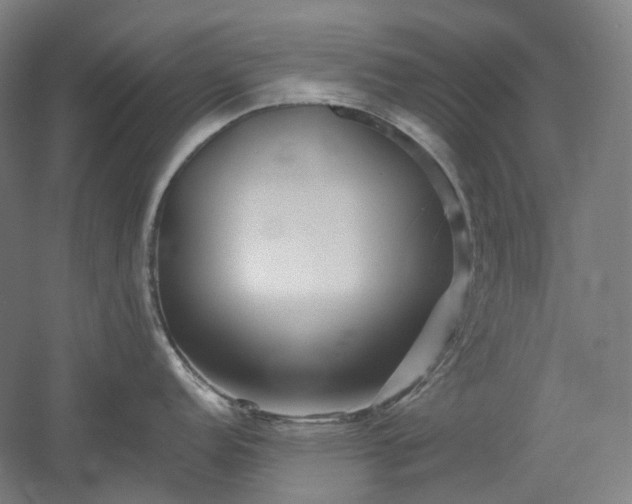 X0000052921152200507151544