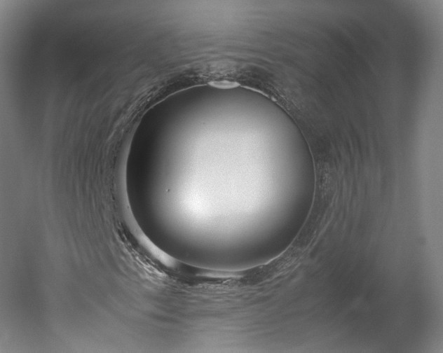 X0000052921153200507151543