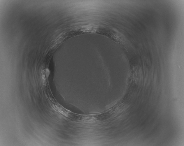 X0000052921154200507151543