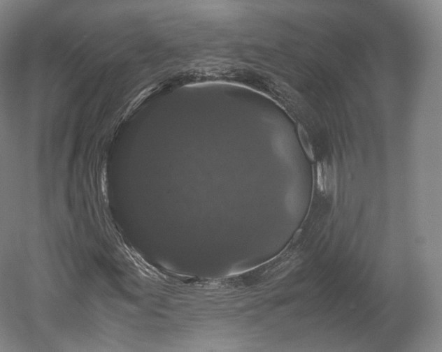 X0000052921155200507151543