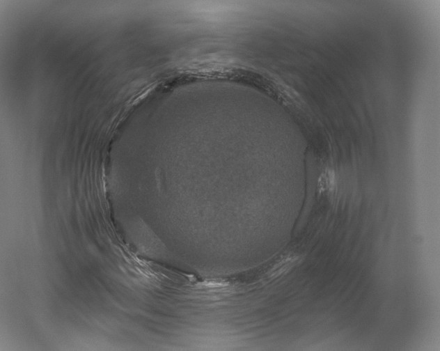 X0000052921156200507151543