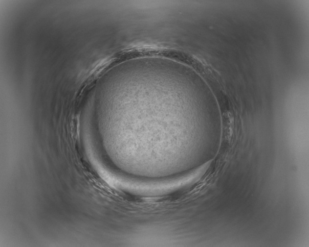 X0000052921157200507151543