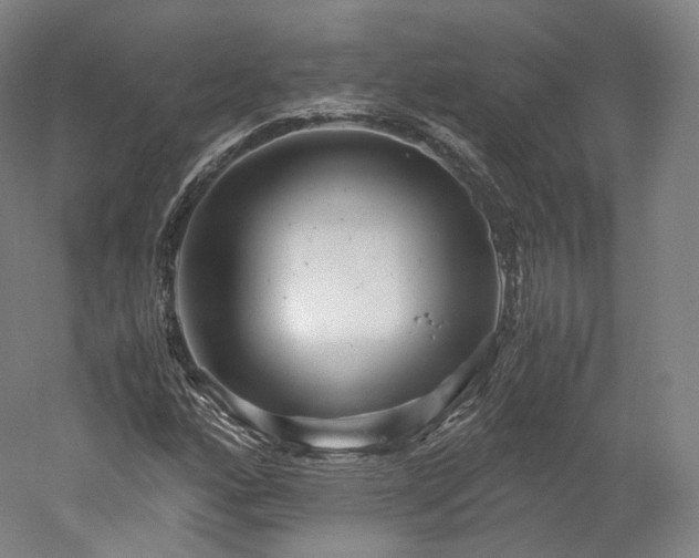 X0000052921160200507151543