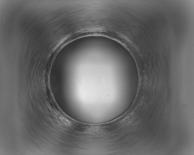 X0000052921162200507151543