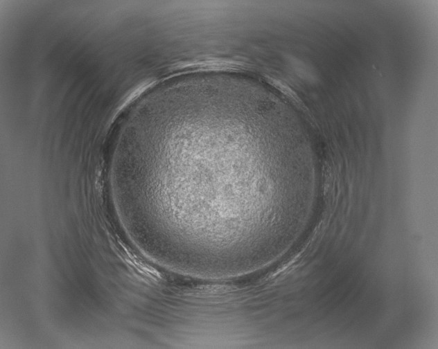 X0000052921163200507151543