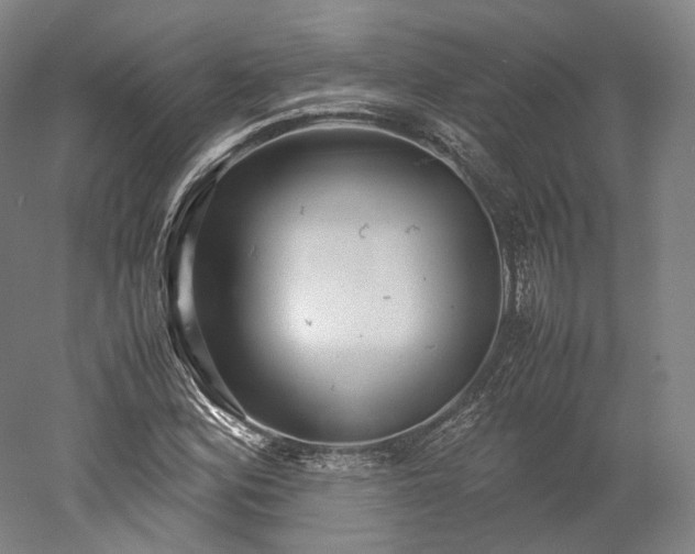 X0000052921164200507151543