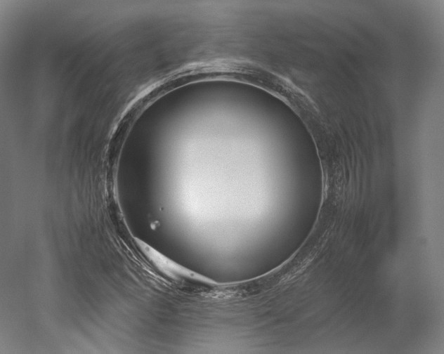X0000052921166200507151543