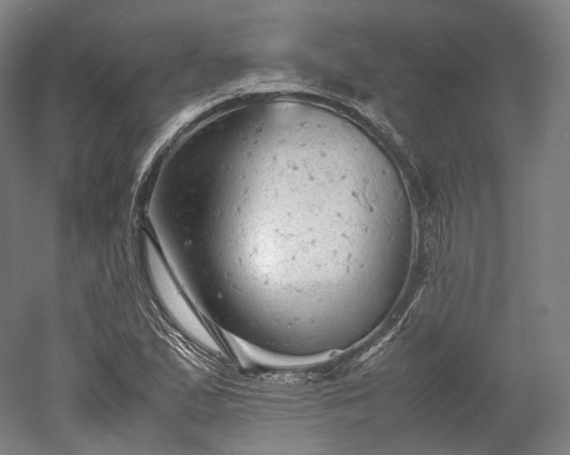 X0000052921167200507151543