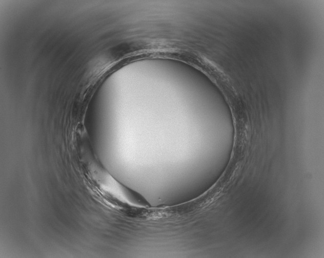 X0000052921169200507151543