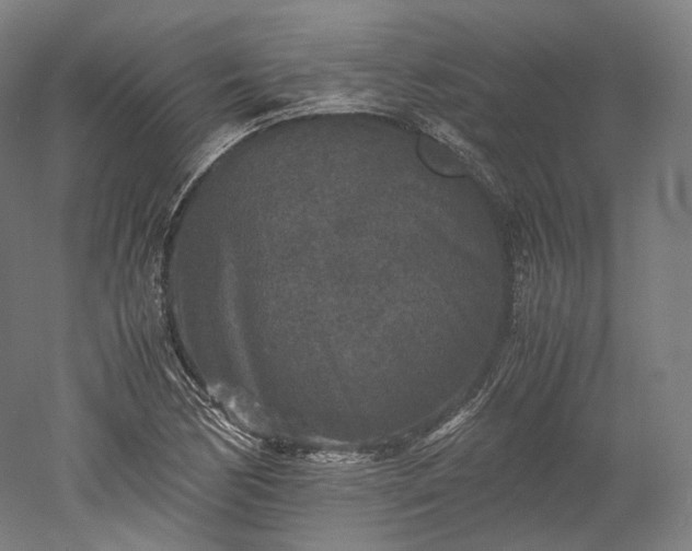 X0000052921170200507151543
