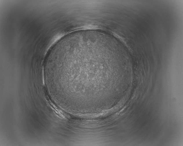 X0000052921171200507151543