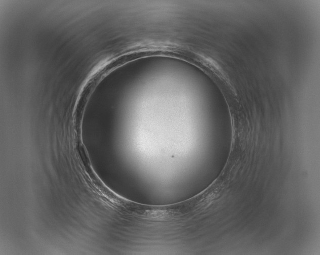 X0000052921172200507151543