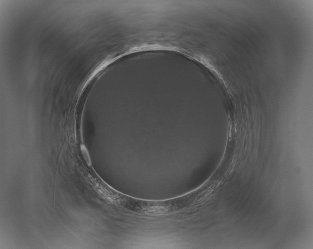 X0000052921173200507151543