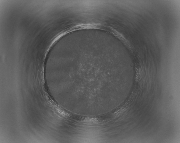 X0000052921174200507151543