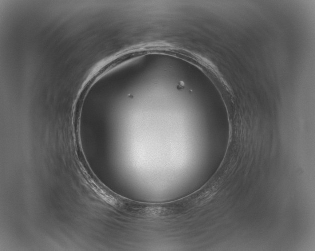 X0000052921176200507151543