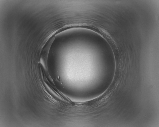 X0000052921177200507151543