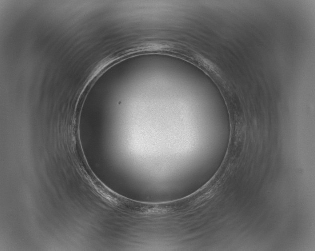 X0000052921178200507151543