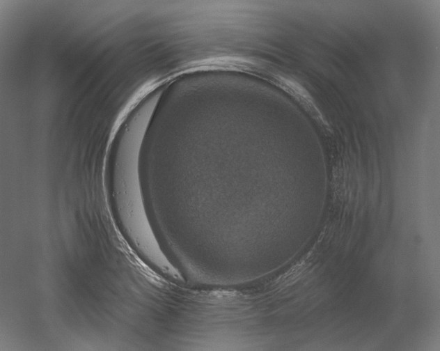 X0000052921180200507151542