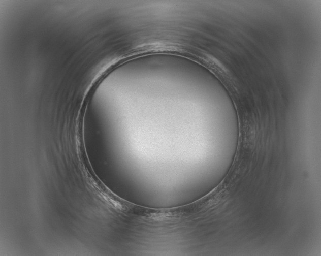 X0000052921182200507151542